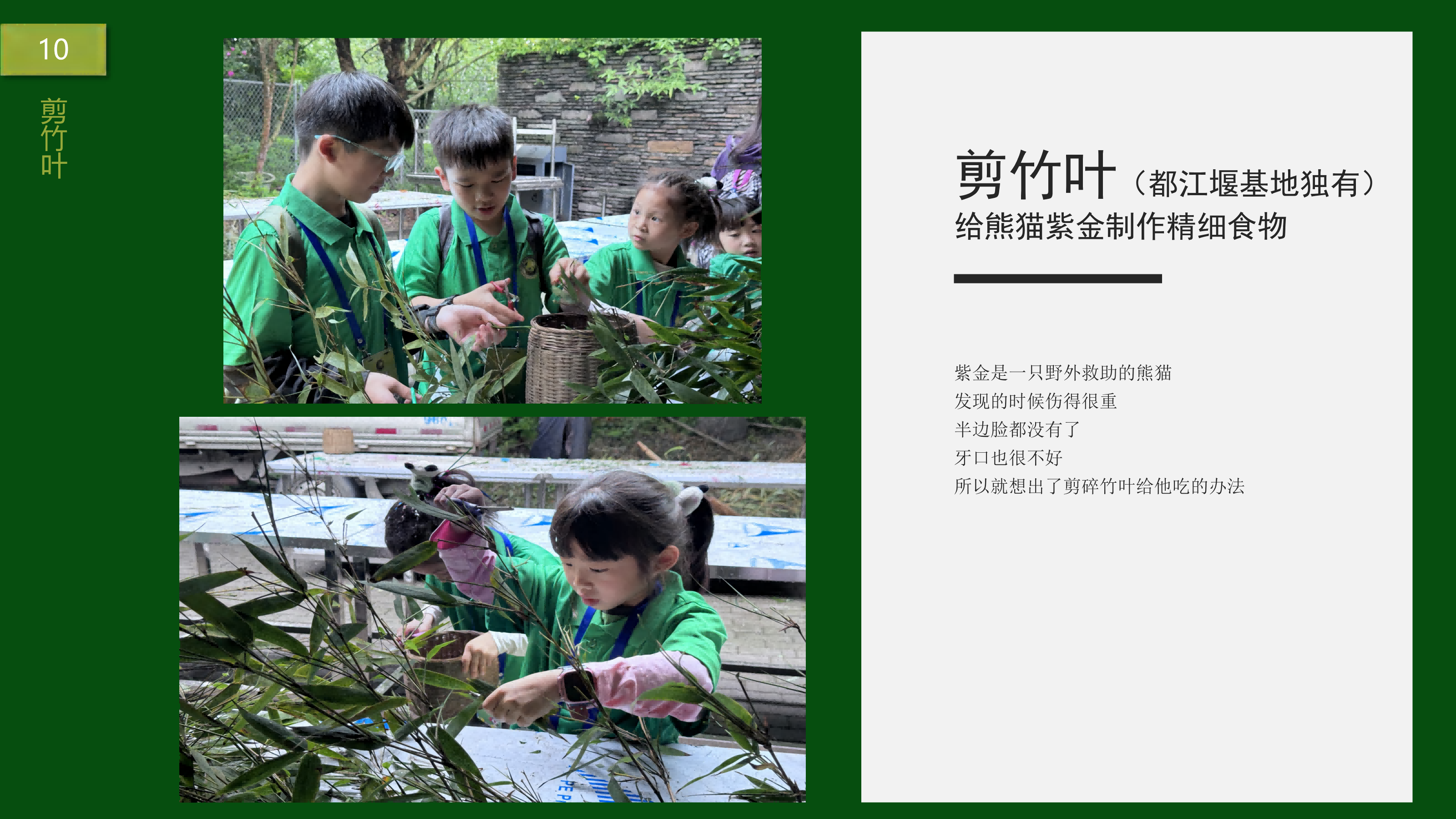 熊猫义工单日营-20263版_12 熊猫义工单日营-20263版_12
