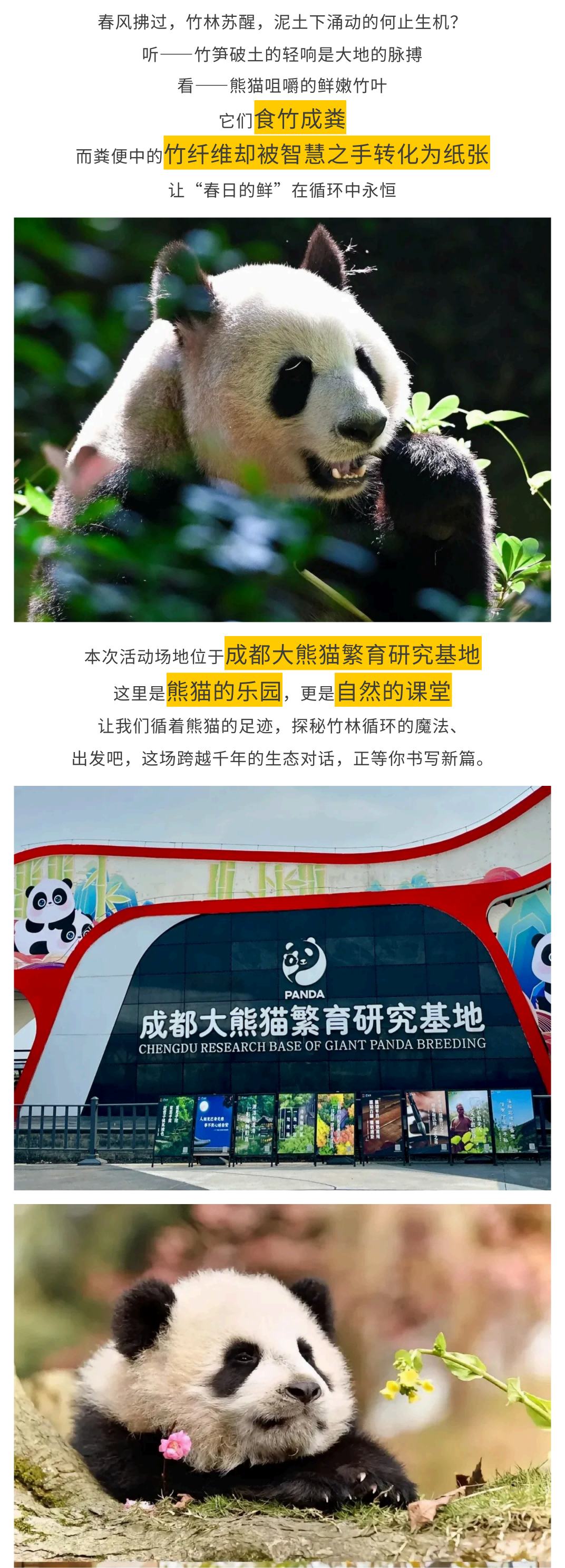 熊猫造纸家_02 熊猫造纸家_02