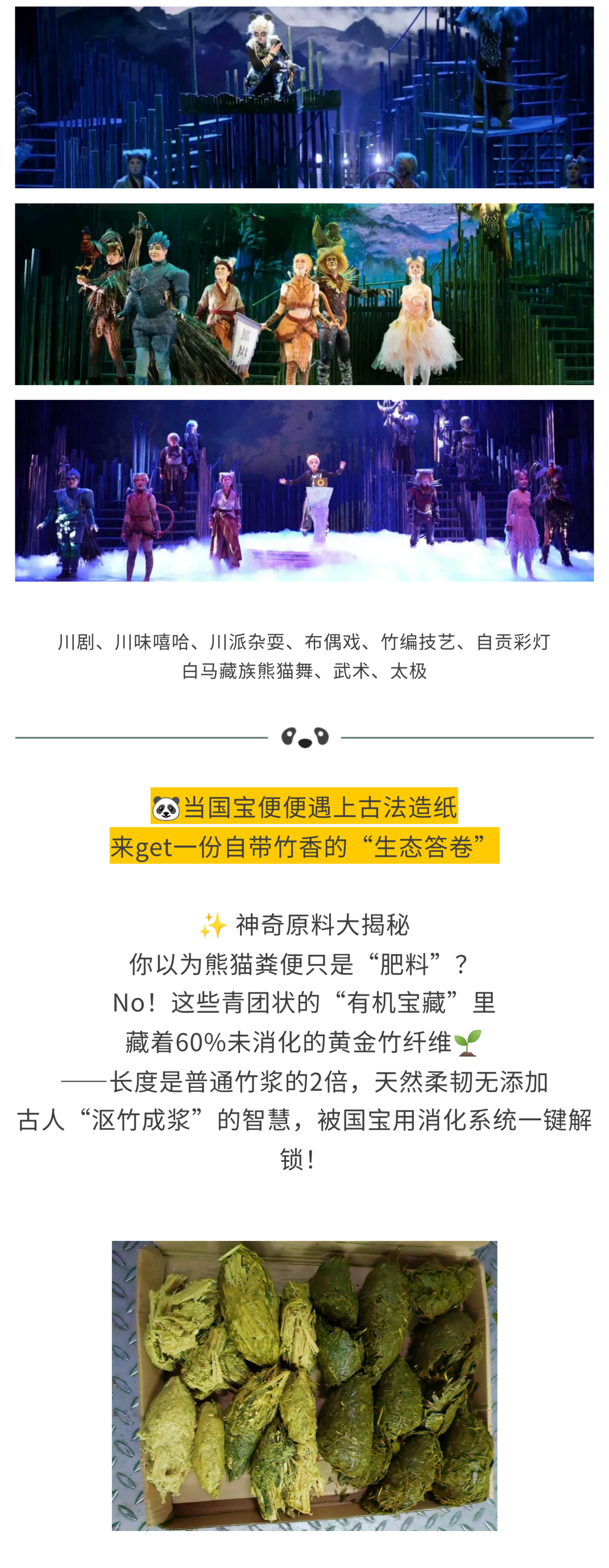 熊猫造纸家_08 熊猫造纸家_08