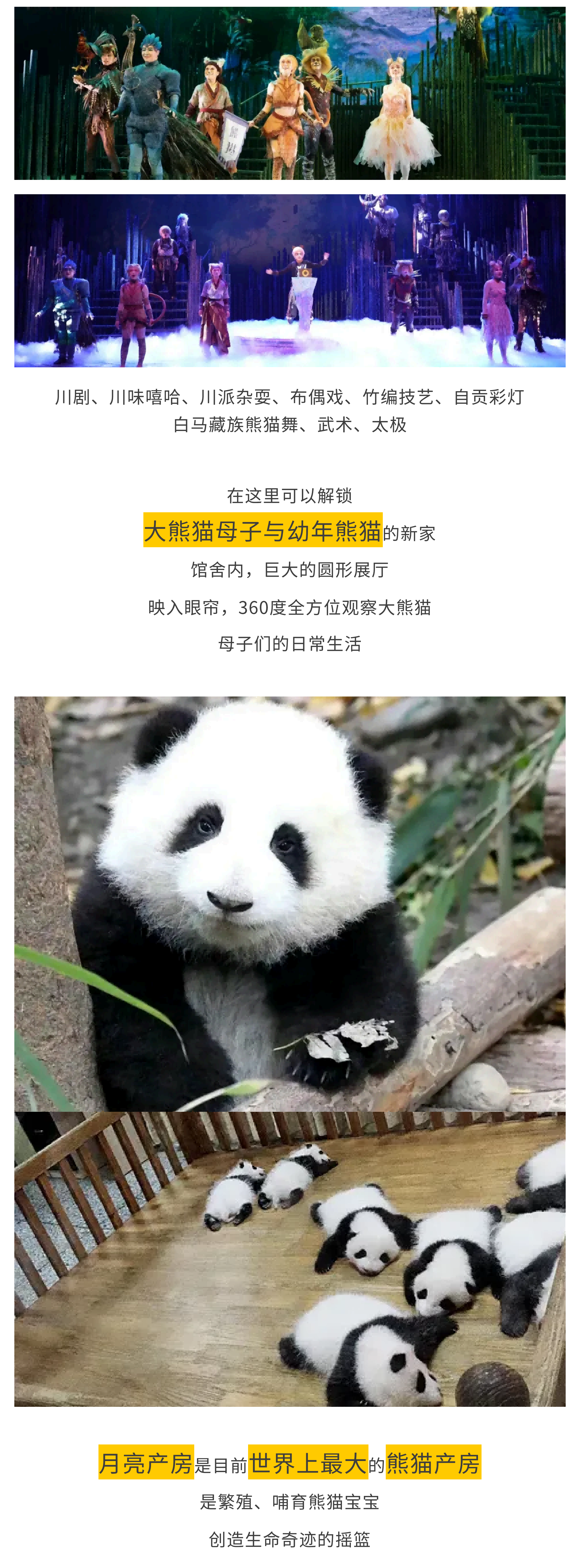 熊猫艺术家 (4.14)(1)_08 熊猫艺术家 (4.14)(1)_08