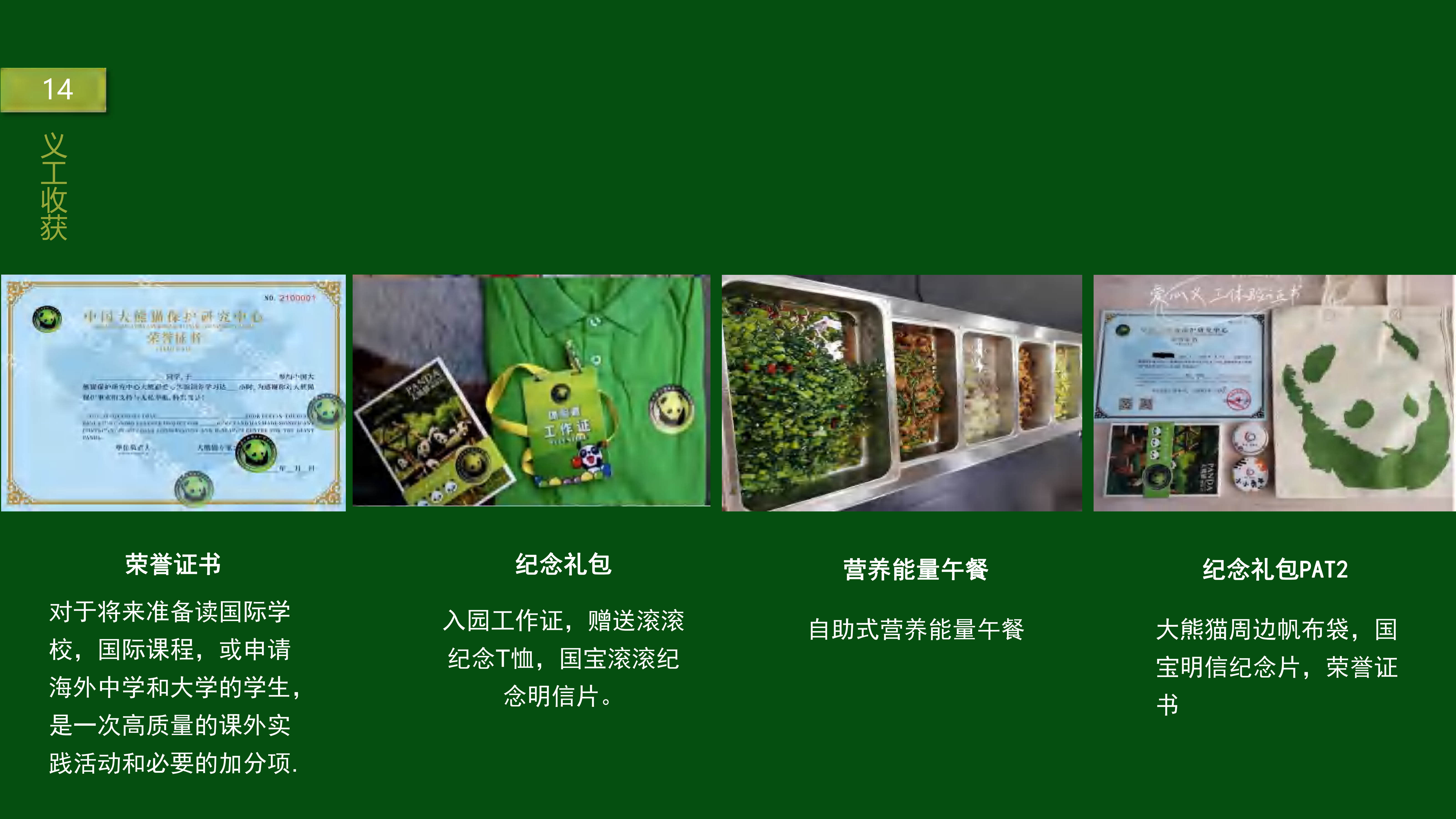 熊猫义工单日营-20263版_16 熊猫义工单日营-20263版_16