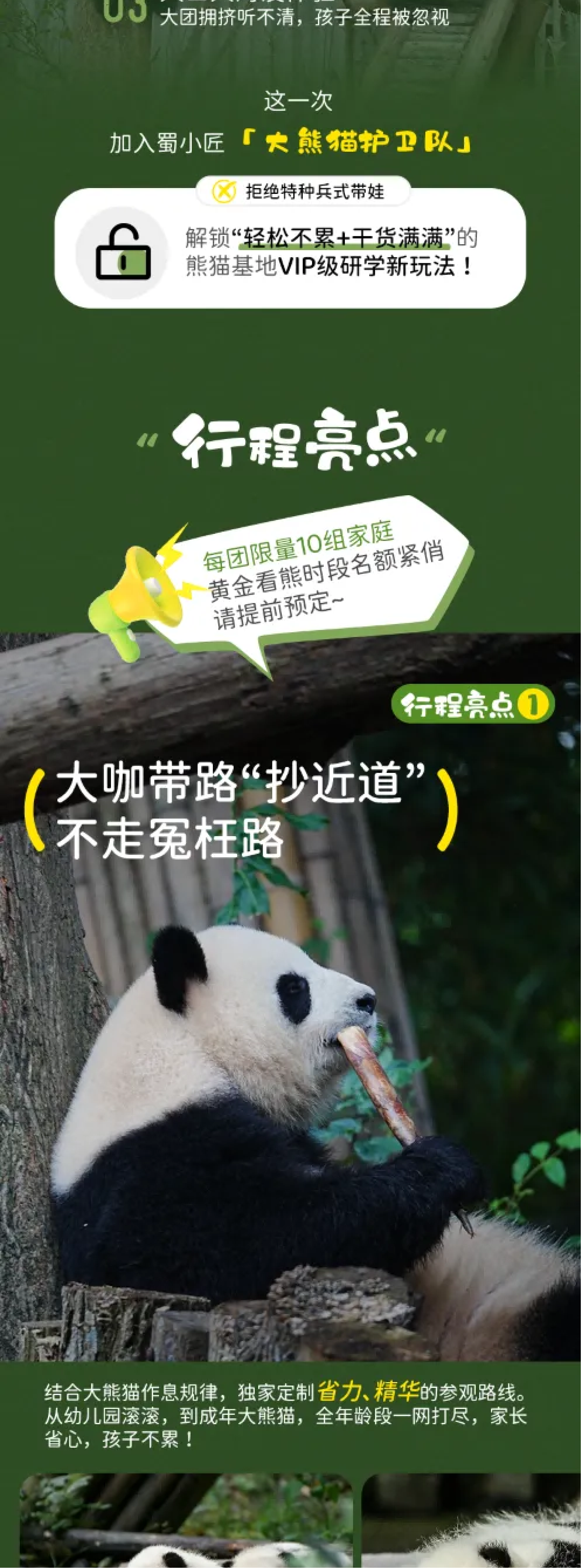 大熊猫护卫队_02