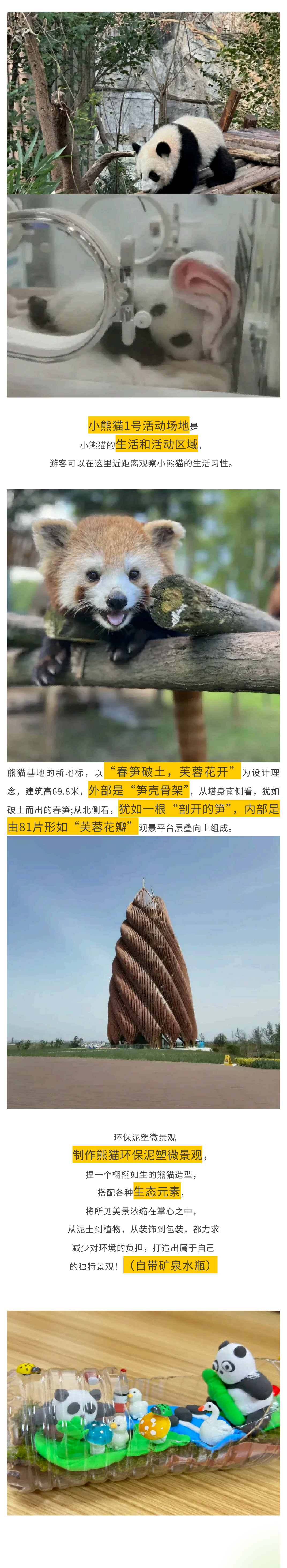 熊猫艺术家 (4.14)(1)_09 熊猫艺术家 (4.14)(1)_09