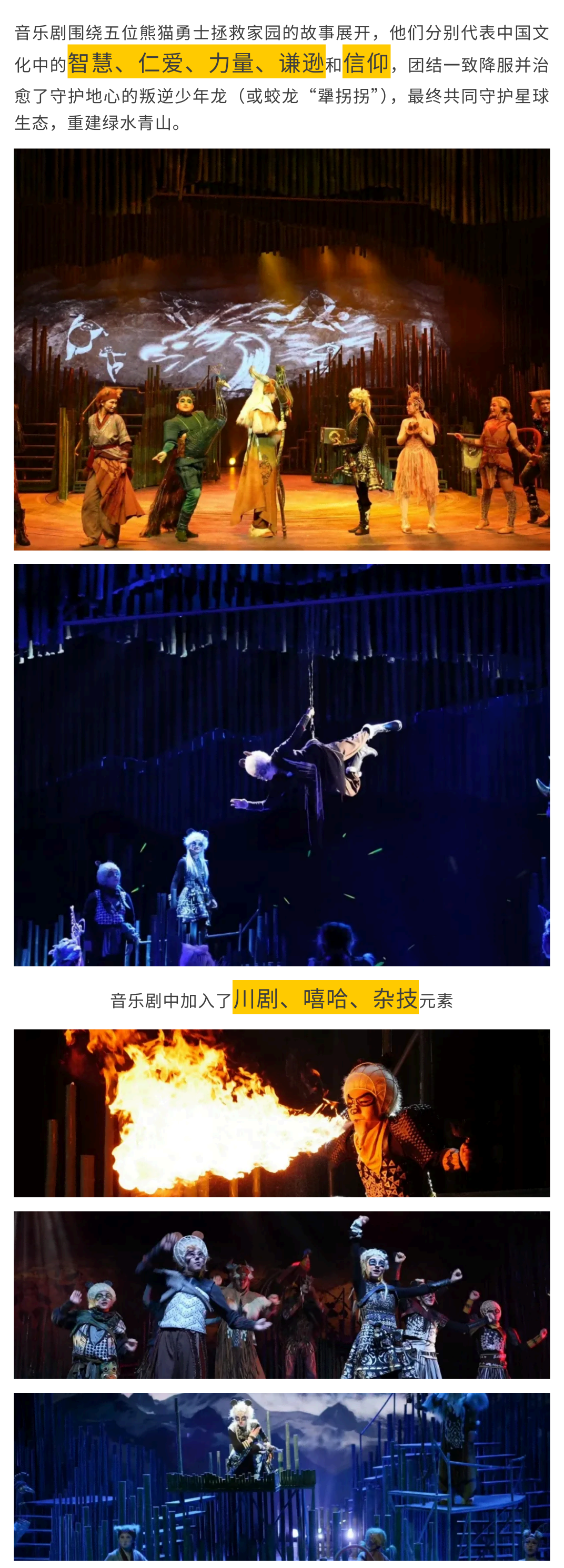 熊猫艺术家 (4.14)(1)_07 熊猫艺术家 (4.14)(1)_07