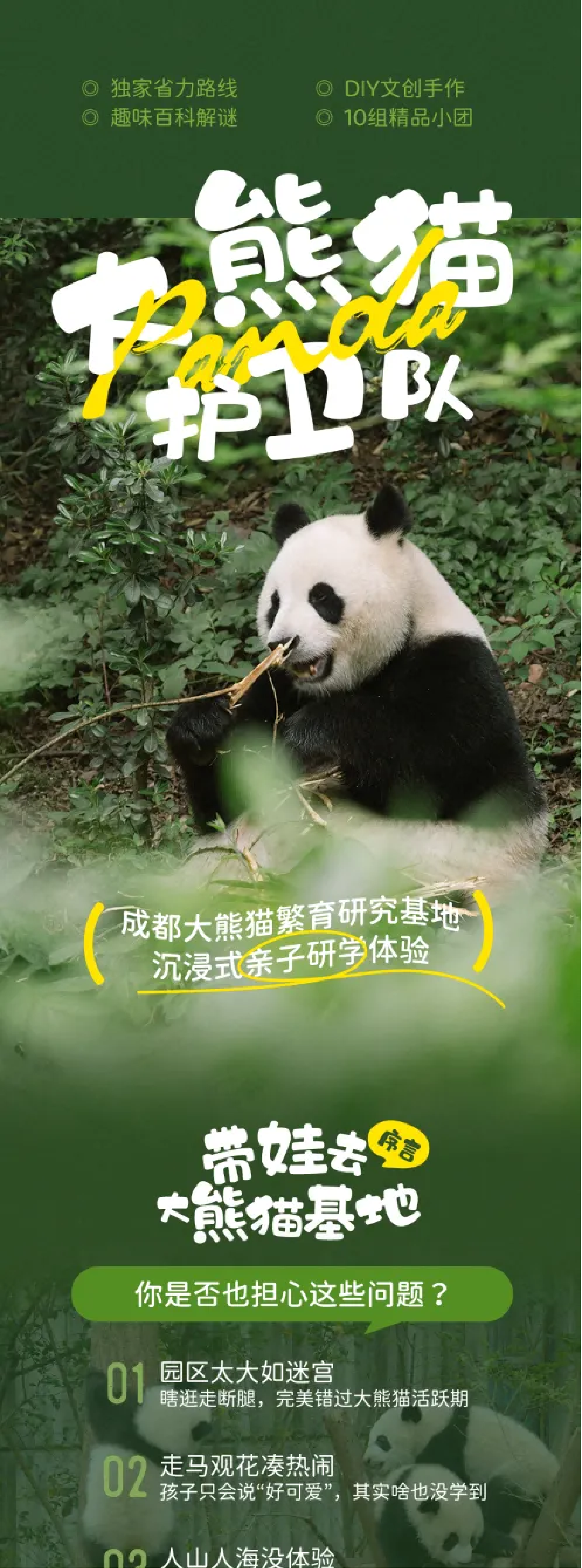 大熊猫护卫队_01