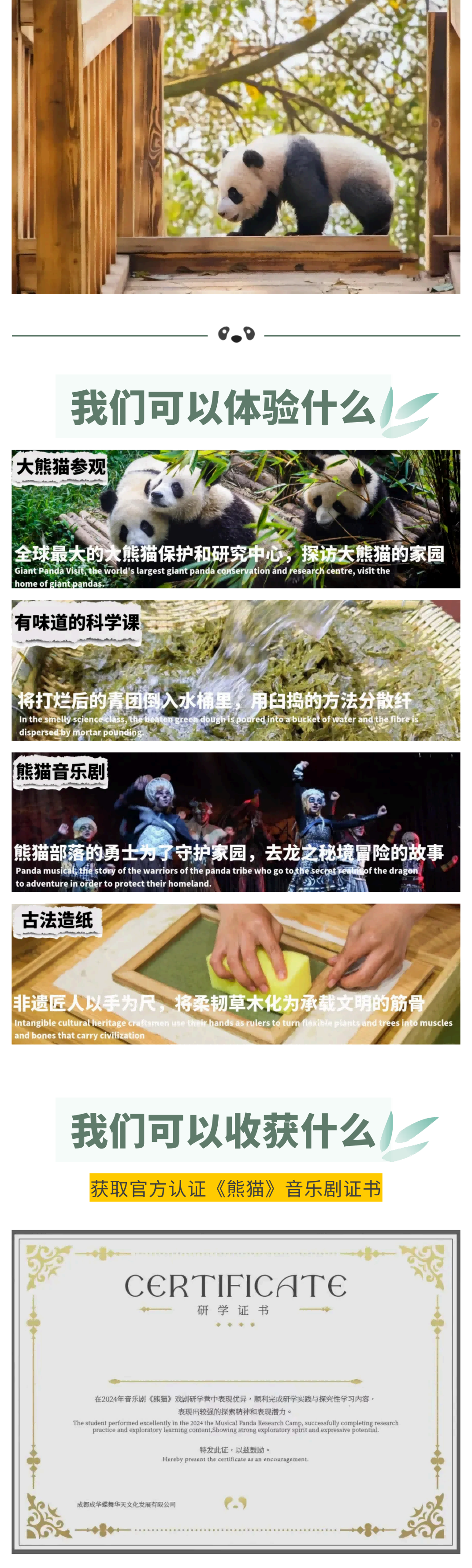 熊猫造纸家_03 熊猫造纸家_03