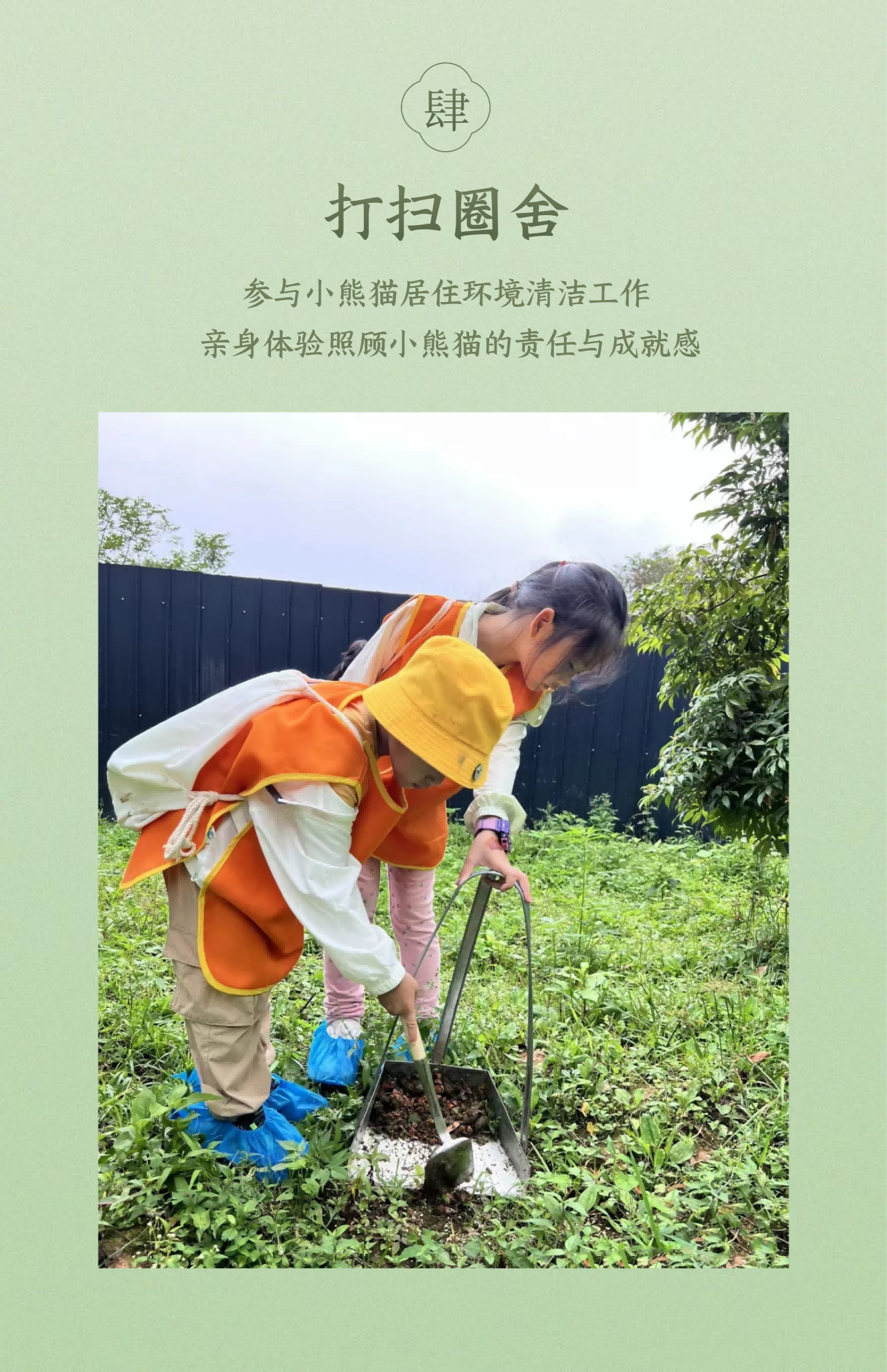 小熊猫科普活动-2026版_07 小熊猫科普活动-2026版_07