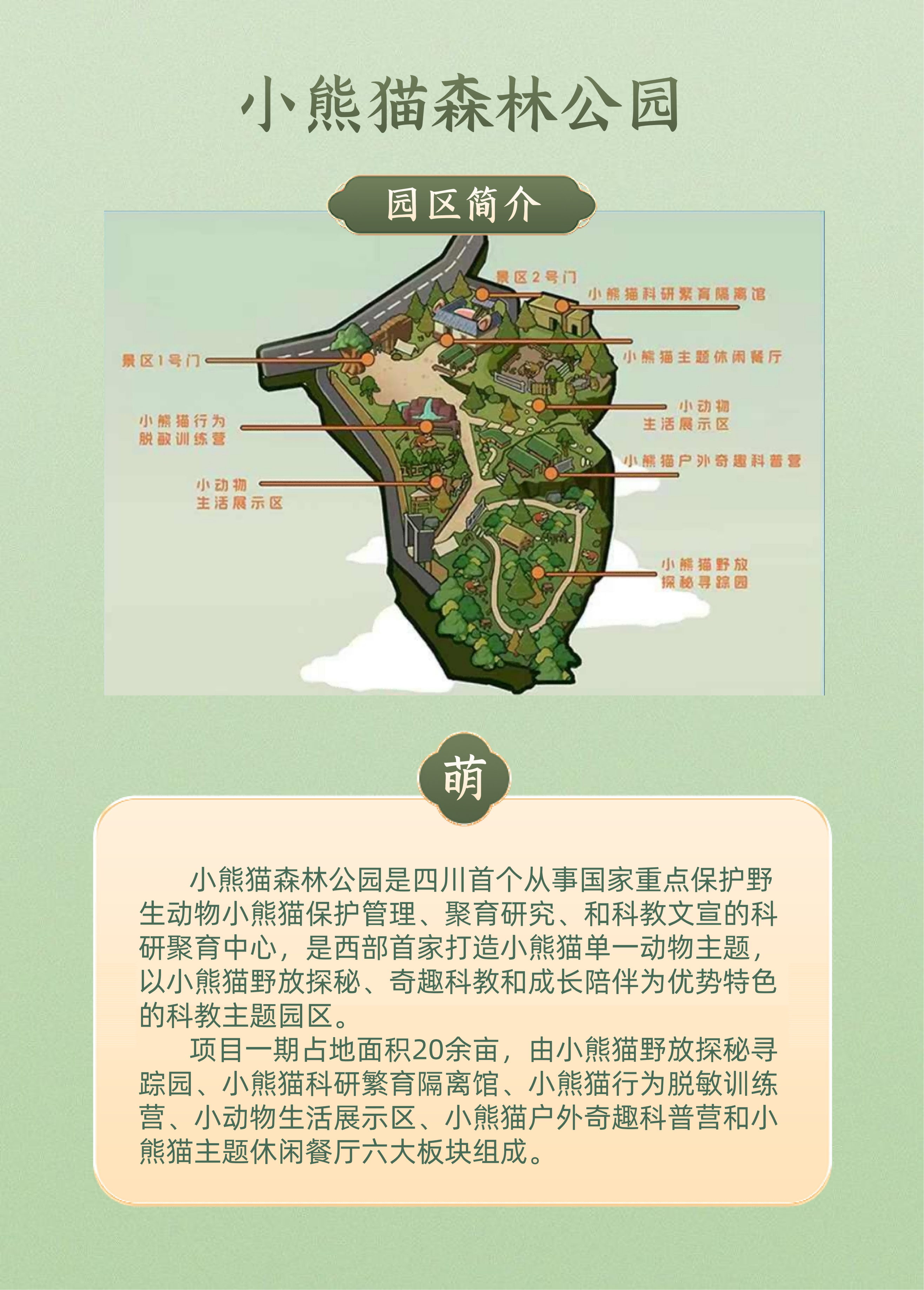 小熊猫科普活动-2026版_02 小熊猫科普活动-2026版_02
