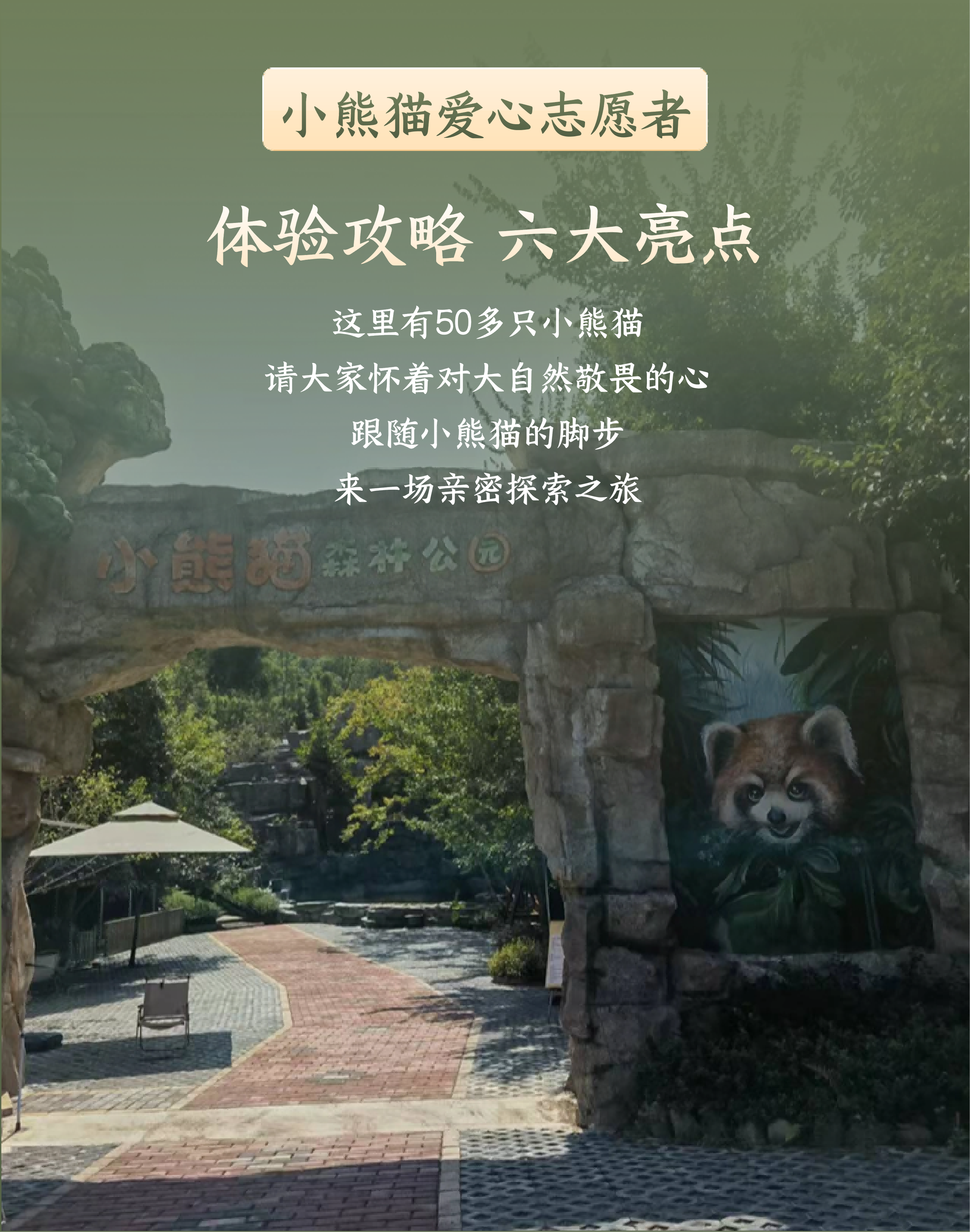 小熊猫科普活动-2026版_03 小熊猫科普活动-2026版_03